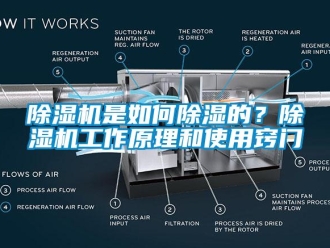 常見問題除濕機是如何除濕的？除濕機工作原理和使用竅門