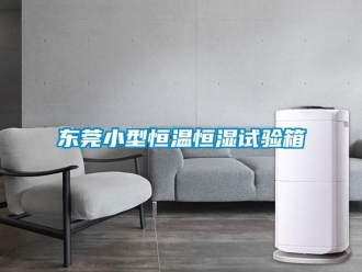 知識百科東莞小型恒溫恒濕試驗箱
