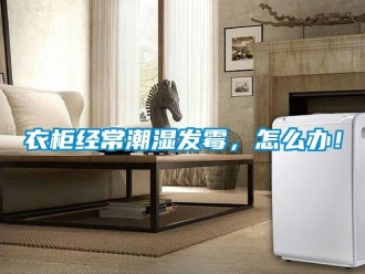 常見問題衣柜經常潮濕發霉，怎么辦！