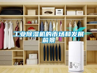企業新聞工業除濕機的市場和發展前景