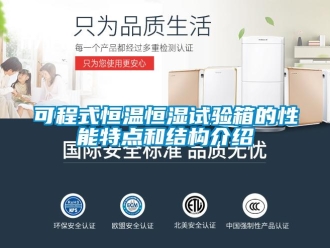 知識百科可程式恒溫恒濕試驗箱的性能特點和結構介紹