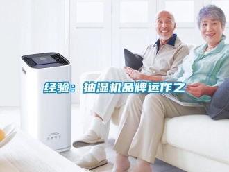 行業新聞經驗：抽濕機品牌運作之