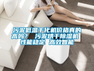 企業新聞污泥低溫干化機價格真的高嗎？ 污泥烘干除濕機 性能穩定 高效智能