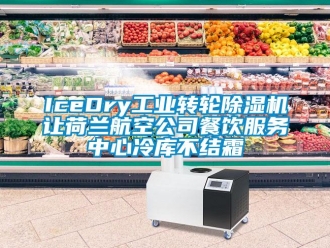 常見問題IceDry工業轉輪除濕機讓荷蘭航空公司餐飲服務中心冷庫不結霜