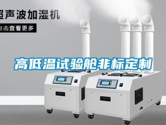 常見問題高低溫試驗艙非標定制