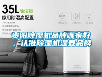 企業(yè)新聞貴陽除濕機(jī)品牌哪家好，認(rèn)準(zhǔn)除濕機(jī)濕菱品牌