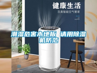 企業新聞潮濕危害木地板 請用除濕機防范
