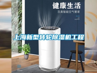 常見問題上海新型轉(zhuǎn)輪除濕機工程