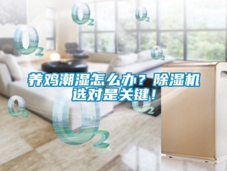 常見問題養(yǎng)雞潮濕怎么辦？除濕機(jī)選對是關(guān)鍵！