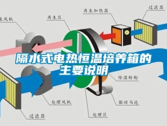 知識百科隔水式電熱恒溫培養(yǎng)箱的主要說明