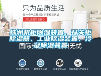 常見問題株洲機(jī)柜除濕裝置、開關(guān)柜除濕器、工業(yè)除濕裝置、冷凝除濕裝置