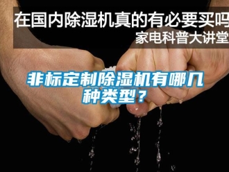 行業(yè)新聞非標定制除濕機有哪幾種類型？