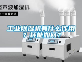 常見問題工業除濕機有什么作用？耗能如何？