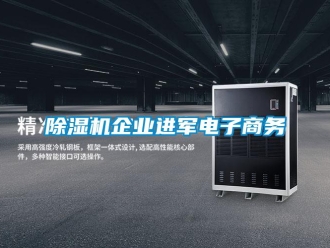 常見問題除濕機企業(yè)進軍電子商務(wù)