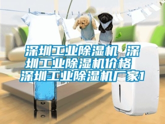 企業(yè)新聞深圳工業(yè)除濕機(jī) 深圳工業(yè)除濕機(jī)價(jià)格 深圳工業(yè)除濕機(jī)廠家1