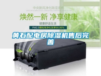 行業新聞黃石配電房除濕機售后完善