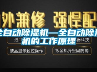 行業新聞全自動除濕機—全自動除濕機的工作原理