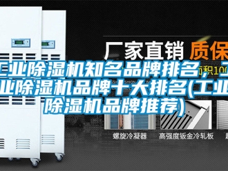 常見問題工業(yè)除濕機(jī)知名品牌排名，工業(yè)除濕機(jī)品牌十大排名(工業(yè)除濕機(jī)品牌推薦)