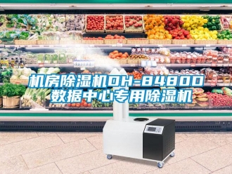 行業(yè)新聞機房除濕機DH-8480D 數(shù)據(jù)中心專用除濕機