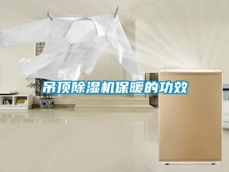 企業新聞吊頂除濕機保暖的功效