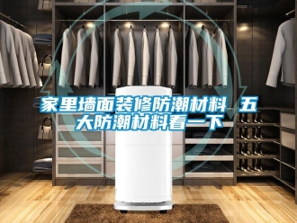常見問題家里墻面裝修防潮材料 五大防潮材料看一下