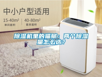 常見問題除濕機里的貓膩：兩個除濕量怎么選？