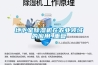 地下室除濕機在農業領域的應用_重復