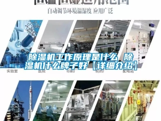 行業新聞除濕機工作原理是什么 除濕機什么牌子好【詳細介紹】