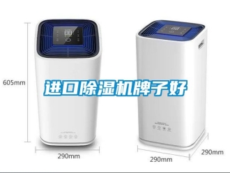 行業(yè)新聞進(jìn)口除濕機(jī)牌子好