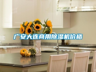 常見問題廣安大連商用除濕機價格
