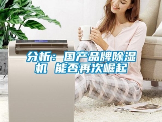 企業(yè)新聞分析：國產(chǎn)品牌除濕機 能否再次崛起