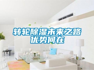 知識百科轉(zhuǎn)輪除濕未來之路優(yōu)勢何在