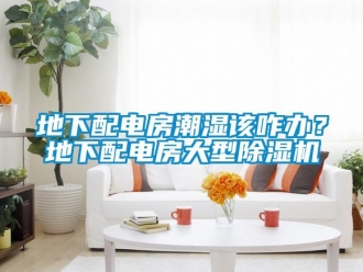 行業新聞地下配電房潮濕該咋辦？地下配電房大型除濕機