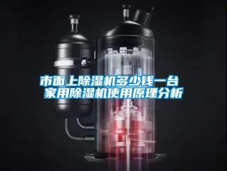 常見問題市面上除濕機多少錢一臺 家用除濕機使用原理分析