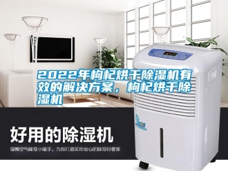 常見問題2022年枸杞烘干除濕機有效的解決方案，枸杞烘干除濕機