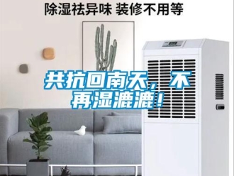 企業新聞共抗回南天，不再濕漉漉！
