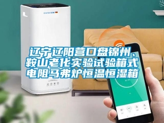 知識百科遼寧遼陽營口盤錦州、鞍山老化實驗試驗箱式電阻馬弗爐恒溫恒濕箱