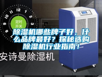 企業(yè)新聞除濕機(jī)哪些牌子好，什么品牌最好？探秘選購除濕機(jī)行業(yè)指南！