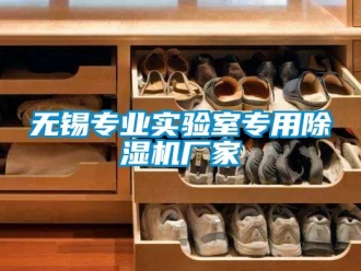 企業新聞無錫專業實驗室專用除濕機廠家