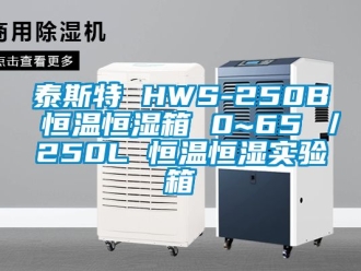 知識百科泰斯特 HWS-250B 恒溫恒濕箱 0~65℃／250L 恒溫恒濕實驗箱
