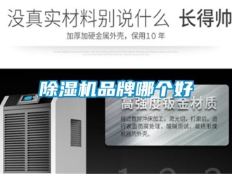 企業新聞除濕機品牌哪個好
