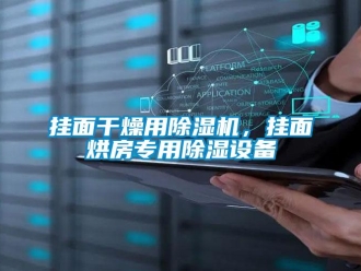 企業(yè)新聞掛面干燥用除濕機，掛面烘房專用除濕設備