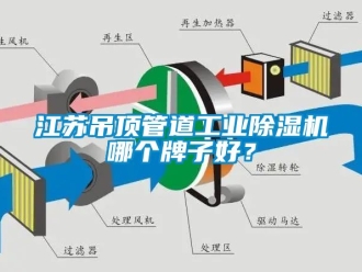 常見問題江蘇吊頂管道工業(yè)除濕機哪個牌子好？