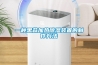 一種黑蒜加熱除濕裝置的制作方法