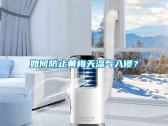 常見問題如何防止黃梅天濕氣入侵？