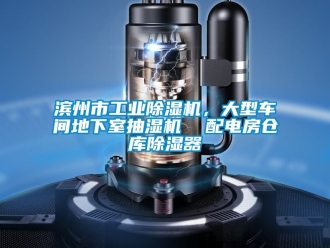 常見問題濱州市工業除濕機，大型車間地下室抽濕機  配電房倉庫除濕器