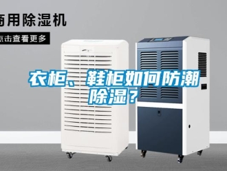 常見問題衣柜、鞋柜如何防潮除濕？