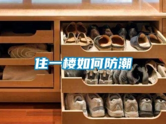 常見問題住一樓如何防潮