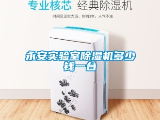 行業新聞永安實驗室除濕機多少錢一臺