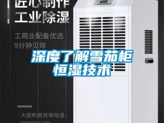 知識百科深度了解雪茄柜恒濕技術